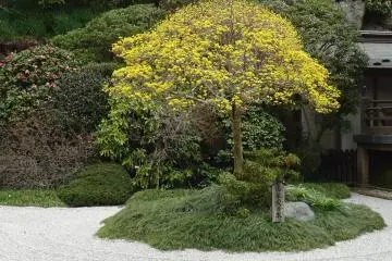 <p>สวนทราย</p>