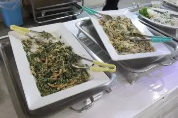<p>Veggies and noodles on the dinner buffet</p>