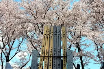 Sesuai bahwa pohon sakura harus melambangkan bahwa keindahan bersifat sementara