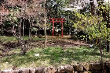 Torii merah kecil terlihat menonjol di tengah pepohonan