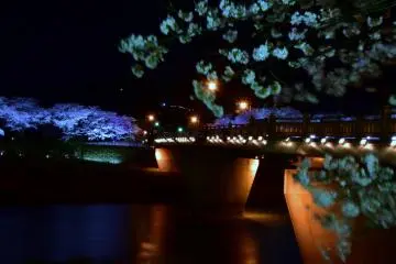 조명이 들어오는 사쿠라 교량의 두꺼운 기둥을 자세히 살펴보기