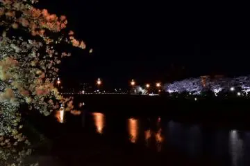 사쿠라 교각 기슭에서 본 사이와이 교량의 야간경관