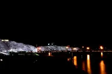 사이와이 교에서 본 강표면의 교량조명의 긴 반사