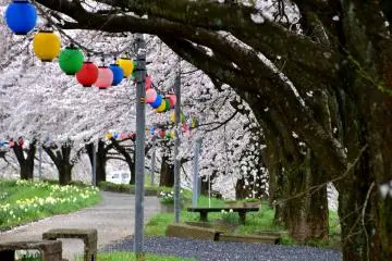 Bien que ce soit au cours de la fête du printemps, il n'y avait personne durant la semaine