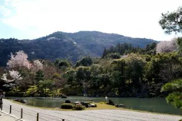 <p>정원의 모습, 그리고 뒤에 보이던 산</p>