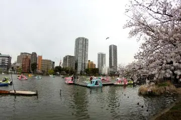 มีผู้คนมากมายรอคิวเรือหงส์ มันมีบรรยากาศที่โรแมนติคมาก แต่คนก็เยอะมากเช่นกัน ดังนั้นอาจจะเป็นการดีทีจะมาเพลิดเพลินในทะเลสาบในช่วงวันธรรมดา