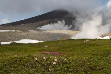 Alpine flowers and steaming Mt. Asahi always in the background