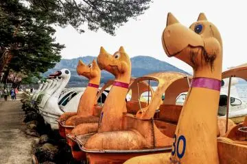 Old dinosaur boats