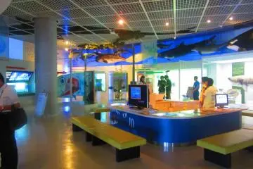 The discovery area has lots of hands-on exhibits for all ages