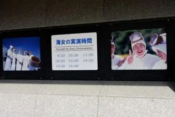<p>There are 8 dives scheduled throughout the day</p>