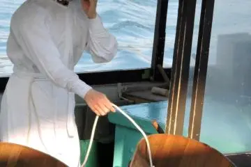 <p>The divers used wooden tubs to hold their catch</p>