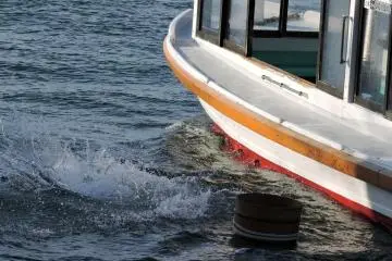 <p>...And dives in after it</p>