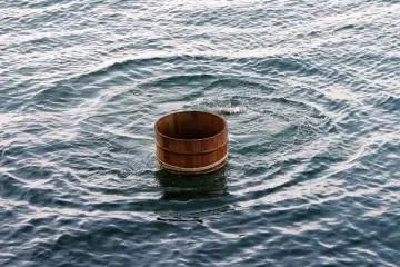 <p>She disappeared beneath the surface</p>