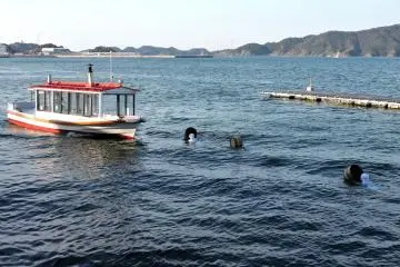 <p>Swimming back to the boat</p>