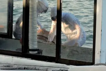 <p>Inspecting the catch</p>