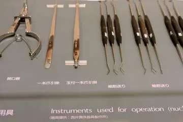 <p>Tools for oyster 'surgery'</p>