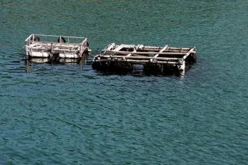<p>Floats for oyster nets can be seen on the water around the island</p>