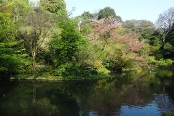 <p>Chinzanso's garden during the day</p>