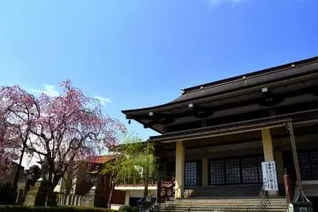 푸른 하늘 아래에 예쁜 분홍색 벚꽃이있는 정득사의 본당