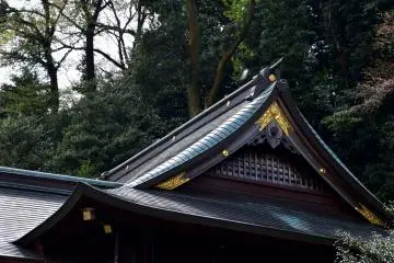 아스와 산기슭의 신사 지붕