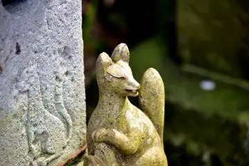 쿠로다츠 신사의 경내에있는 작은 여우상