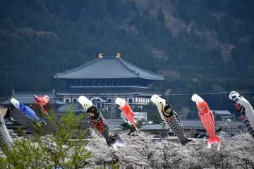 Carp streamers with the Big Buddha Hall of Shindai-ji Temple in the background. In this hall, the Buddha statue, which is bigger than the one in Todaiji Temple in Nara, is housed.