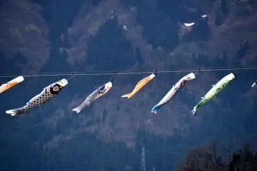 Carp streamers swimming in the wind