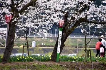 Lanterns on the riverside walk were donated by local businesses