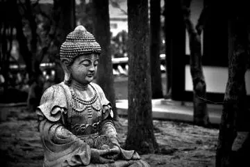 <p>Another Buddha statue sitting silently in the woods. There are many Buddha statues on the temple grounds.</p>