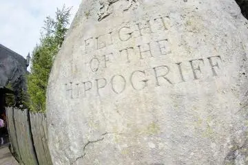 Flight of the Hippogriff!!