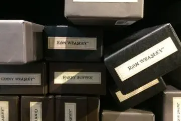 Wands sold at Ollivanders