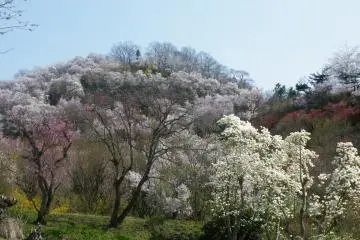 <p>A range of colors</p>