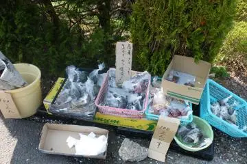 <p>I passed several of these on the way to the mountain top. The farmers leave their produce and a cash box. Deposit your money into the box and take the item you paid for.</p>
