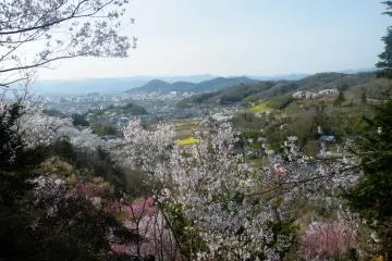 <p>At this point I was almost at the summit. It's such an amazing view that I had to stop to take it all in.</p>