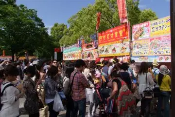 <p>Lined up to eat</p>
