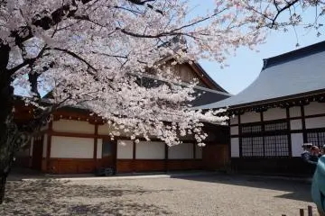 <p>And so are the shrine grounds overall</p>