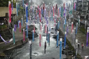 <p>The streamers run for about half a kilometer along the river</p>