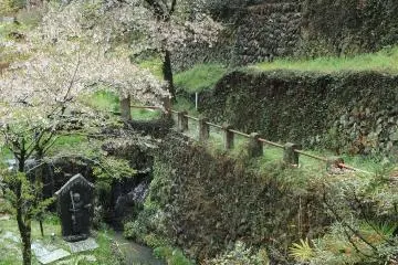 <p>The ravine, with a small waterfall and statue of Fudo, are directly across the street from the main temple.</p>