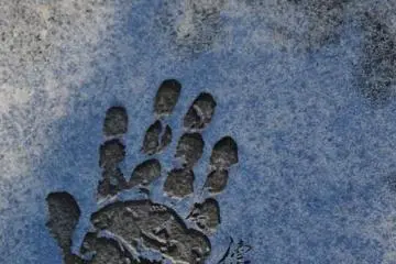 Handprint of Tokugawa Ieyasu