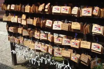 Wishes and fortunes