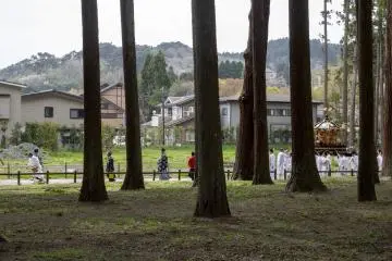 <p>The parade continues through the towering trees of the temple grounds</p>