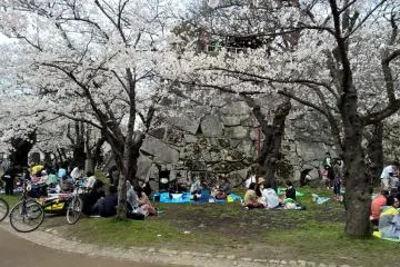 <p>Looks like a nice spot</p>