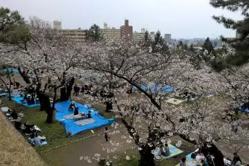 <p>The view from the top level</p>