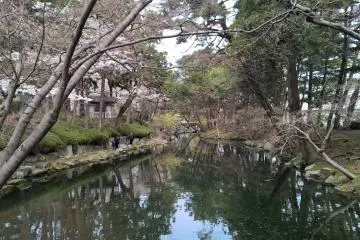 <p>One of the ponds in the park</p>