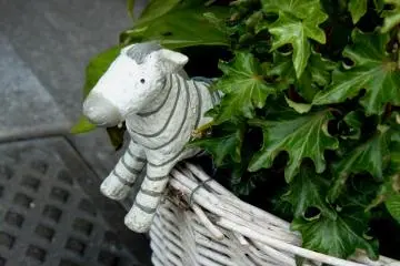 Photo: Olga Kaneda