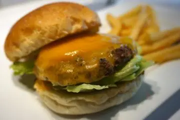 <p>The classic Cheeseburger. Hold the tomato, please!</p>