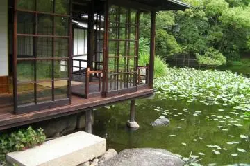 Overlooking the pond