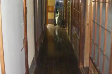 The main corridor