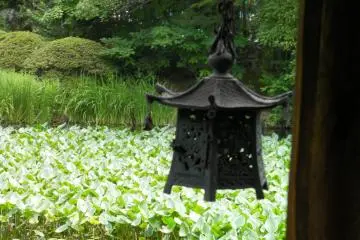 A lantern is worth a thousand words