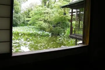 View from the main house